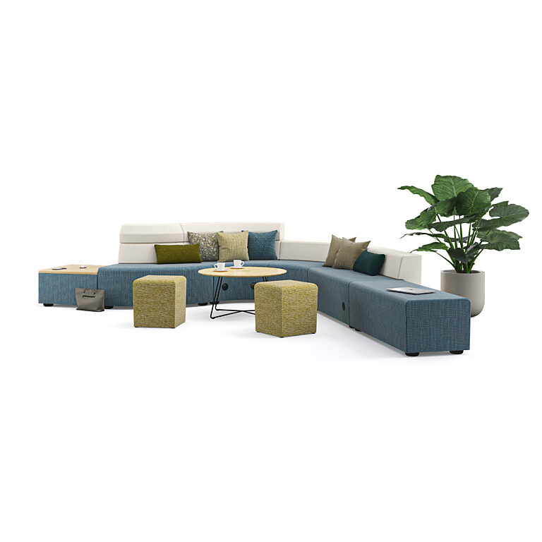 Bialek | Knoll